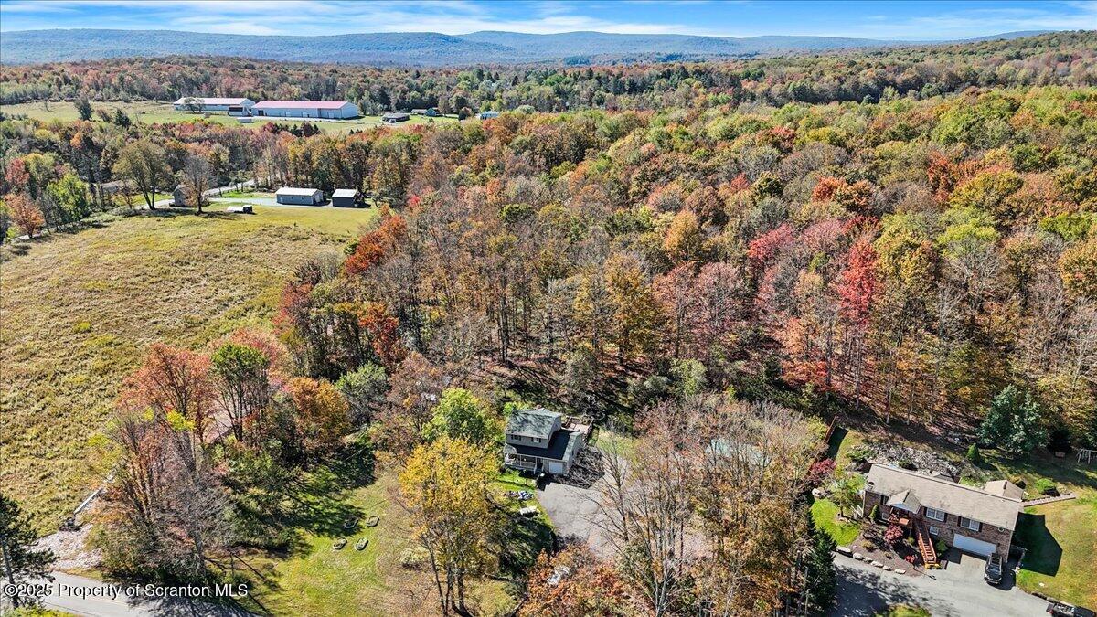 19 Laurel Road Moscow, PA 18444 - Photo 9 of 42 09-DJI_20251003140710_0011_D