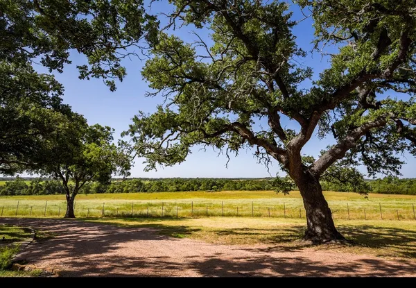 $2,725,000 | 12350-65 Highway 16, Fredericksburg, TX 78624