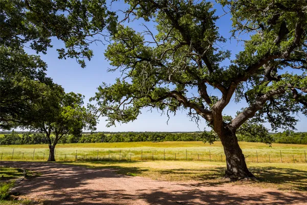 $2,725,000 | 12350-65 Highway 16, Fredericksburg, TX 78624