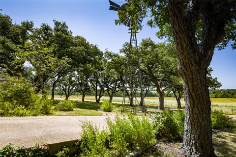 a view of yard with tree s