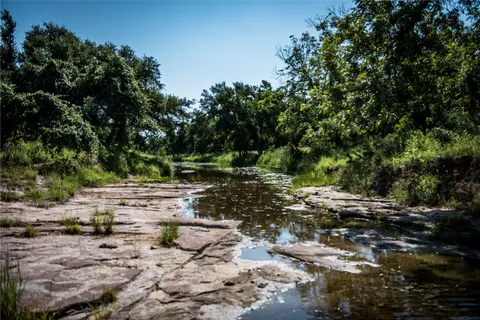 a view of a forest with trees