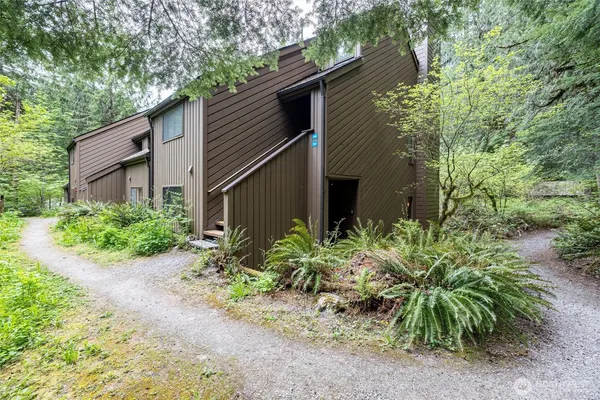 a backyard of a house with plants and trees