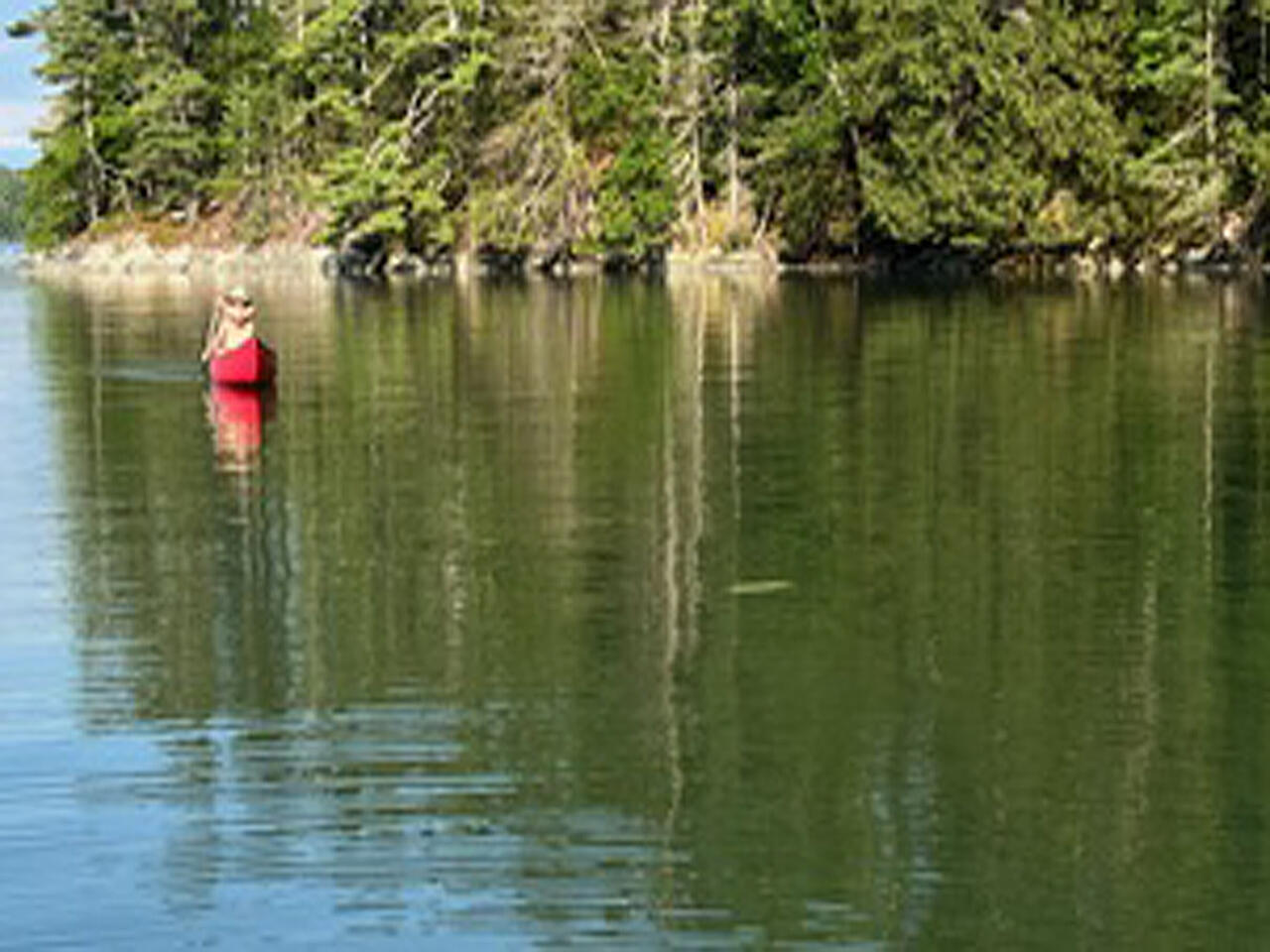 258 River Road Newcastle, ME 04553 - Photo 3 of 6 Canoe in Cove