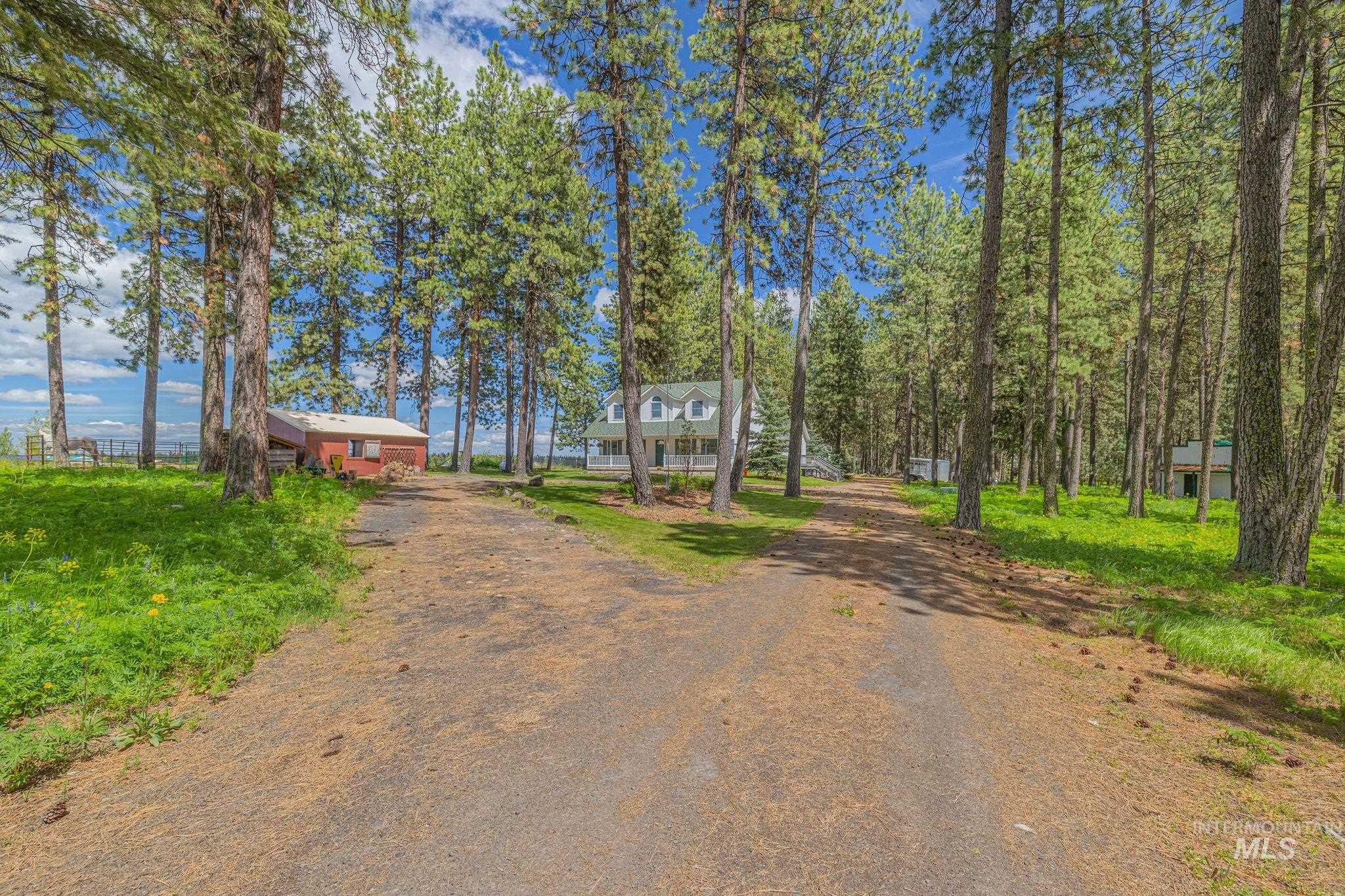 Gravel driveways, mature evergreen trees, and a detached outbuilding