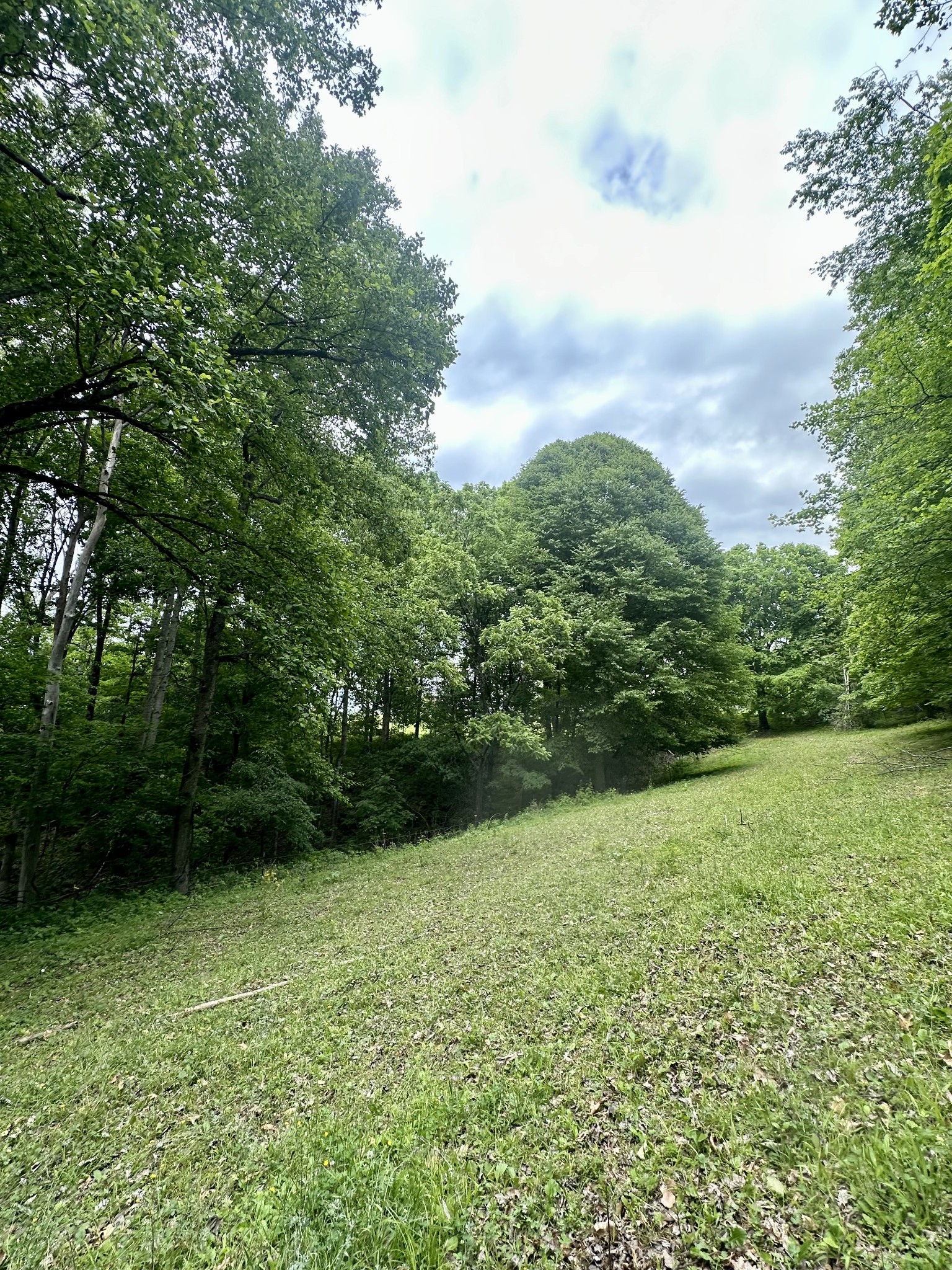 0 Hall Road Greenbrier, TN 37073 - Photo 7 of 28 a view of an outdoor space with a lake view