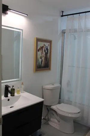 a white toilet sitting next to a shower curtain