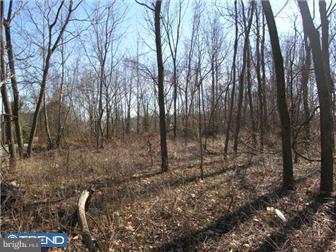 73 Schuylkill Road Phoenixville, PA 19460 - Photo 1 of 9 Gallery Image 1