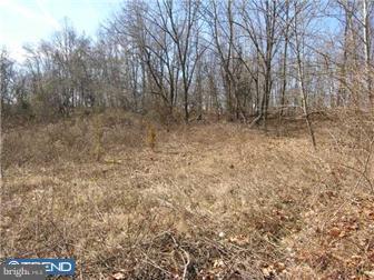 73 Schuylkill Road Phoenixville, PA 19460 - Photo 2 of 9 Gallery Image 2