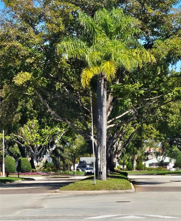 8290 Butterfield Lane Boca Raton, FL 33433 - Photo 6 of 38 a view of a tree in a yard
