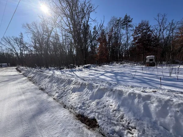 $7,990 | 6935 South Pine Center Drive, Baldwin, MI 49304