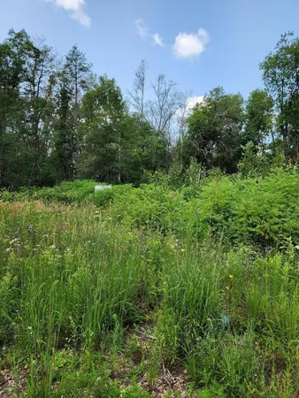 $7,990 | 6935 South Pine Center Drive, Baldwin, MI 49304