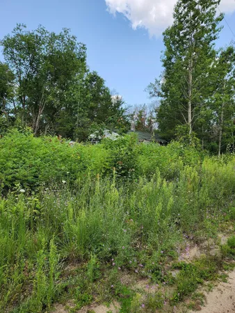 $7,990 | 6935 South Pine Center Drive, Baldwin, MI 49304