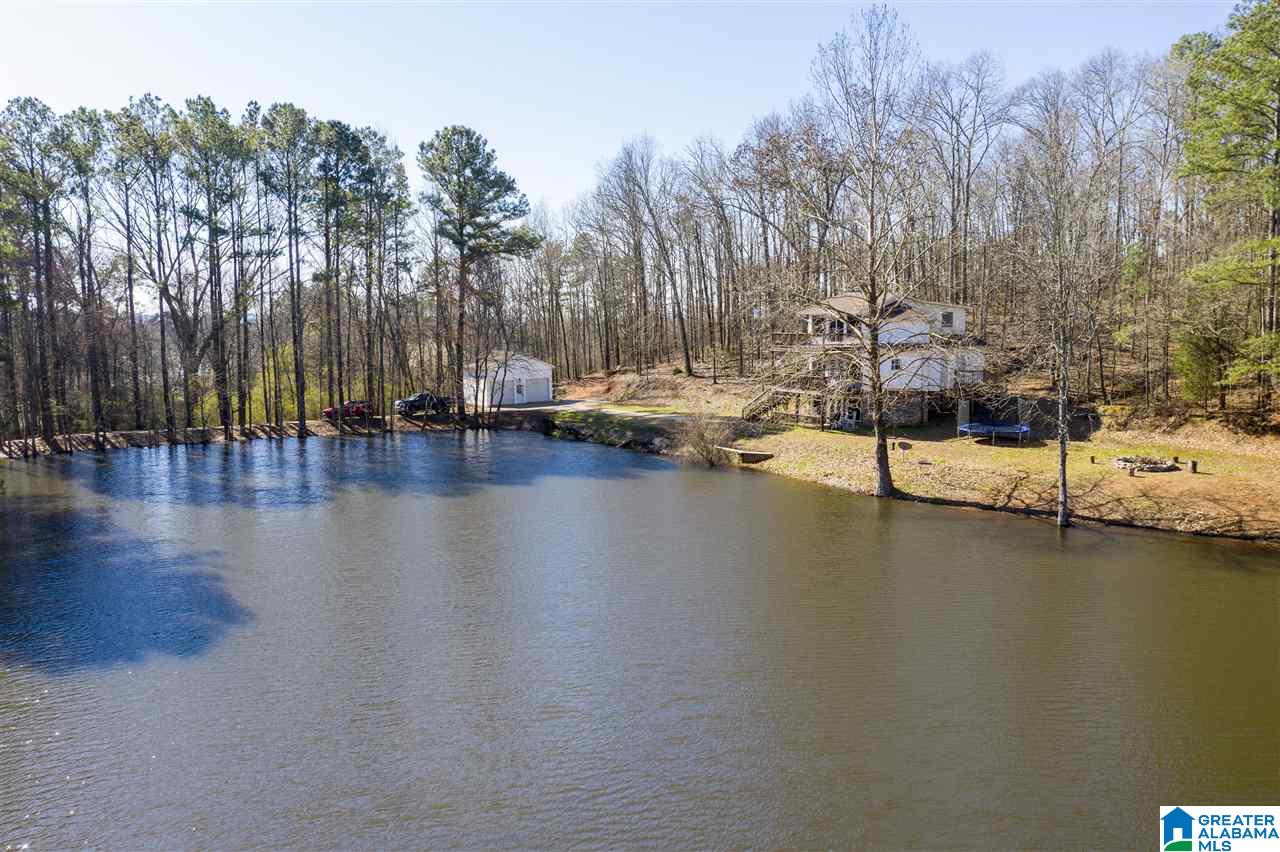 593 Lock 4 Road Riverside, AL 35135 - Photo 43 of 49