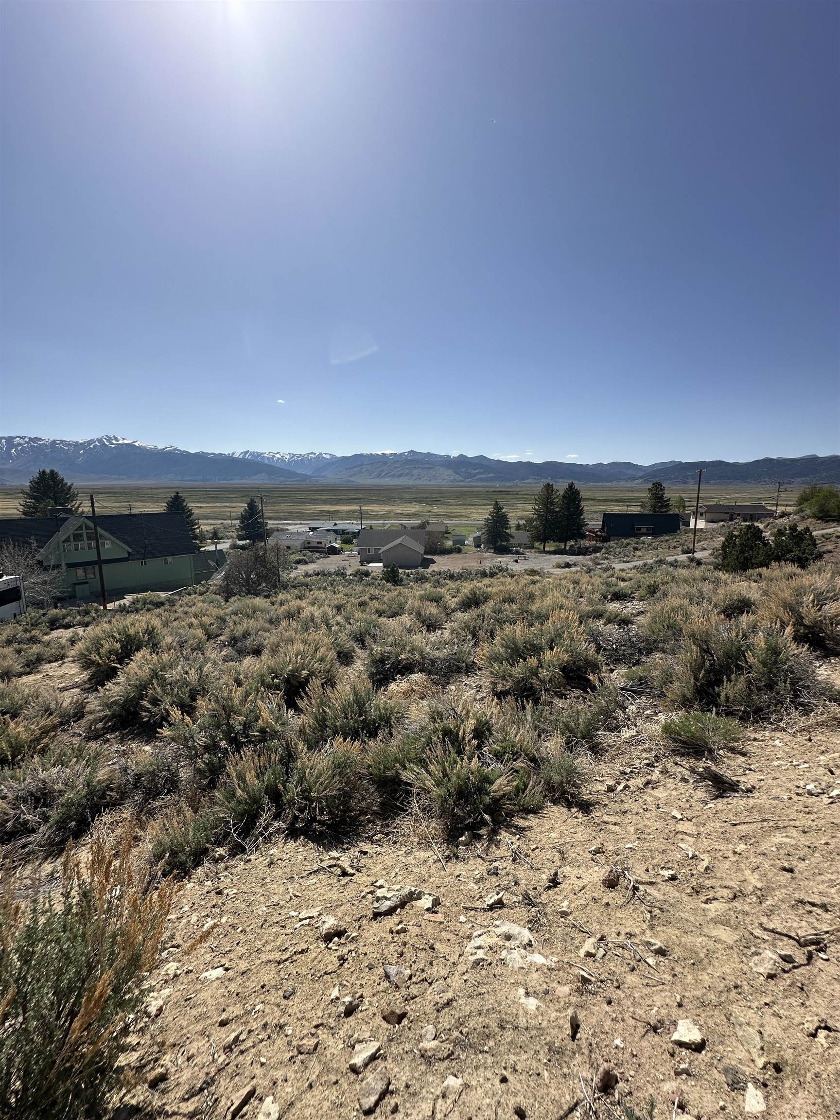 Lot 11 Rickey Peak Road, Unit 11 Bridgeport, CA 93517 - Photo 11 of 14 a view of lot of trees and beach
