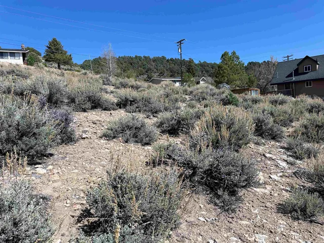 a view of a dry yard with trees in the background