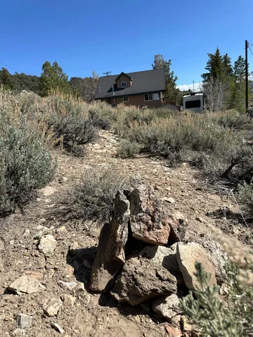 a view of a backyard of the house