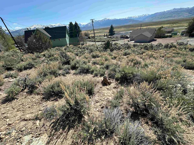 a view of a dry yard