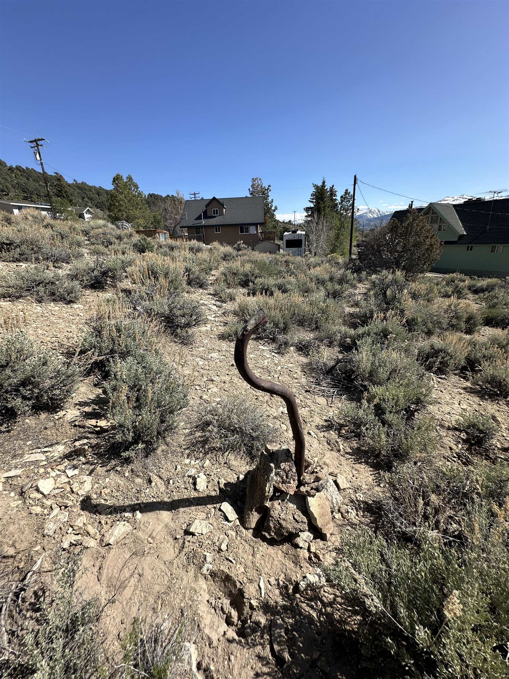 Lot 11 Rickey Peak Road, Unit 11 Bridgeport, CA 93517 - Photo 6 of 14 a view of a dry yard