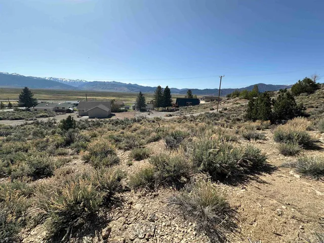 a view of a dry yard with trees
