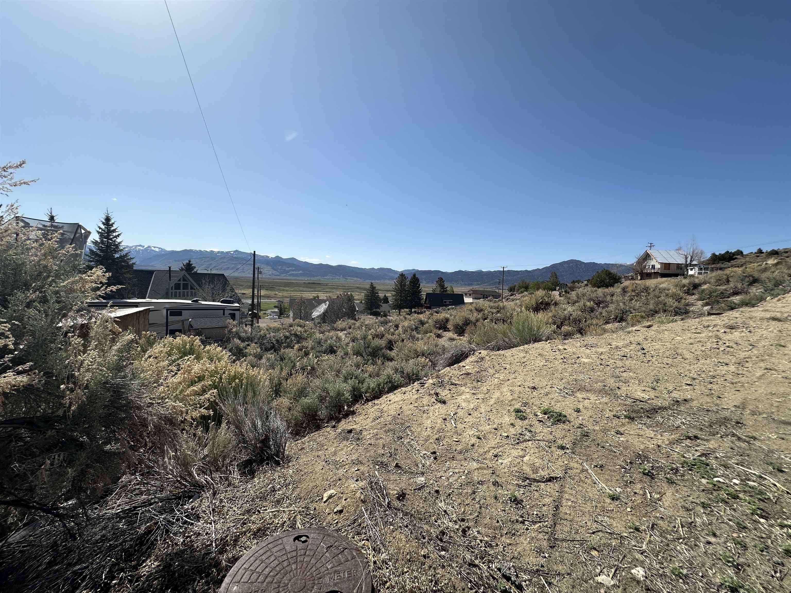 Lot 11 Rickey Peak Road, Unit 11 Bridgeport, CA 93517 - Photo 9 of 14 a view of a dry yard with trees