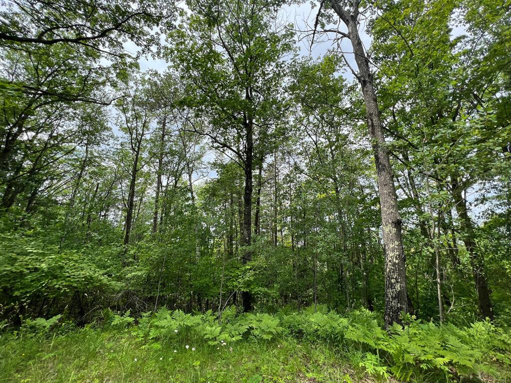 Lot 5 High Bluff Estates Road Sturgeon Bay, WI 54235 - Photo 1 of 7 Main View