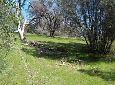 6866 Mosquito Road Placerville, CA 95667 - Photo 1 of 6 a view of a garden