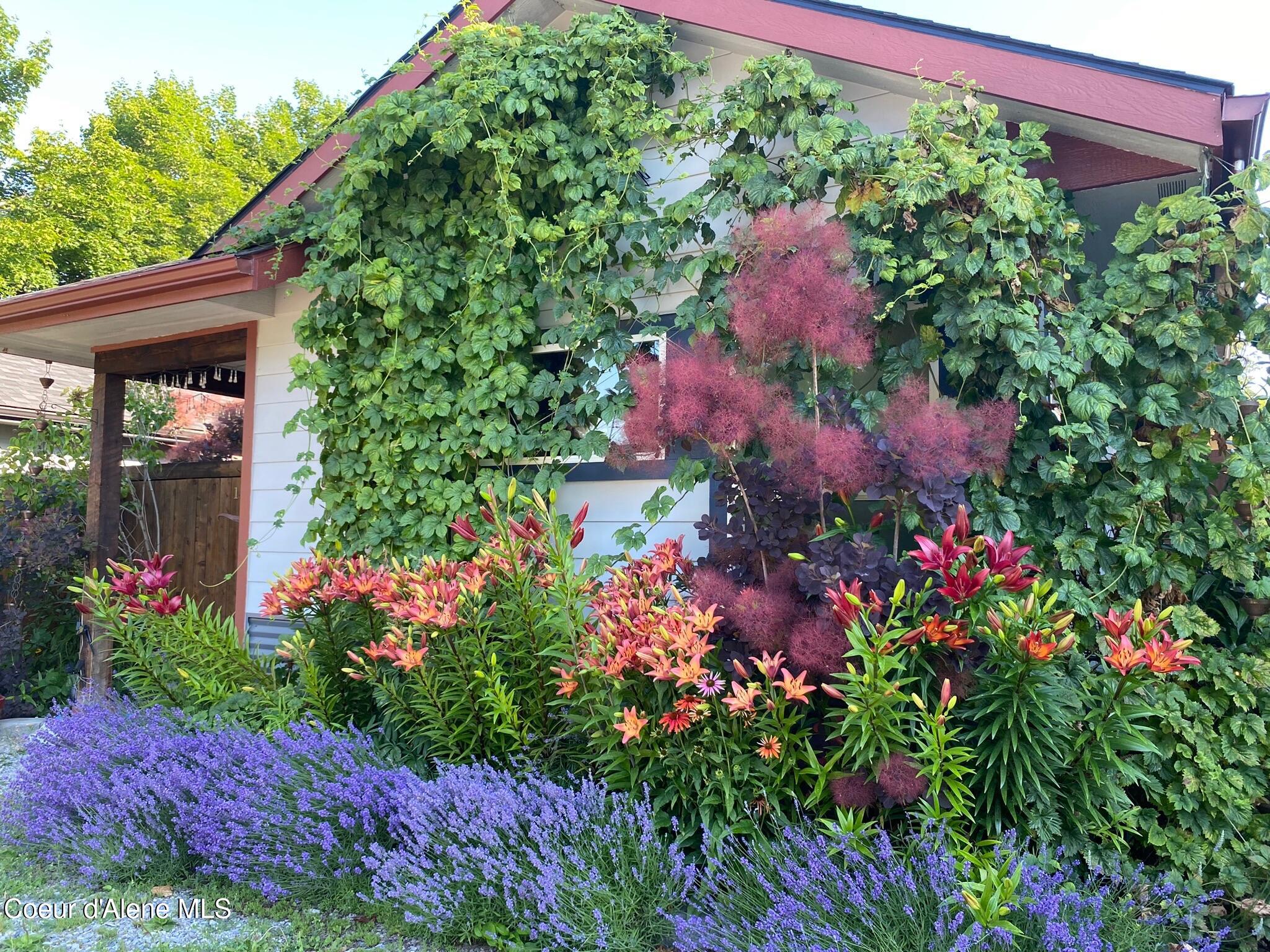 1210 Spruce Street Sandpoint, ID 83864 - Photo 32 of 50 IMG_0344