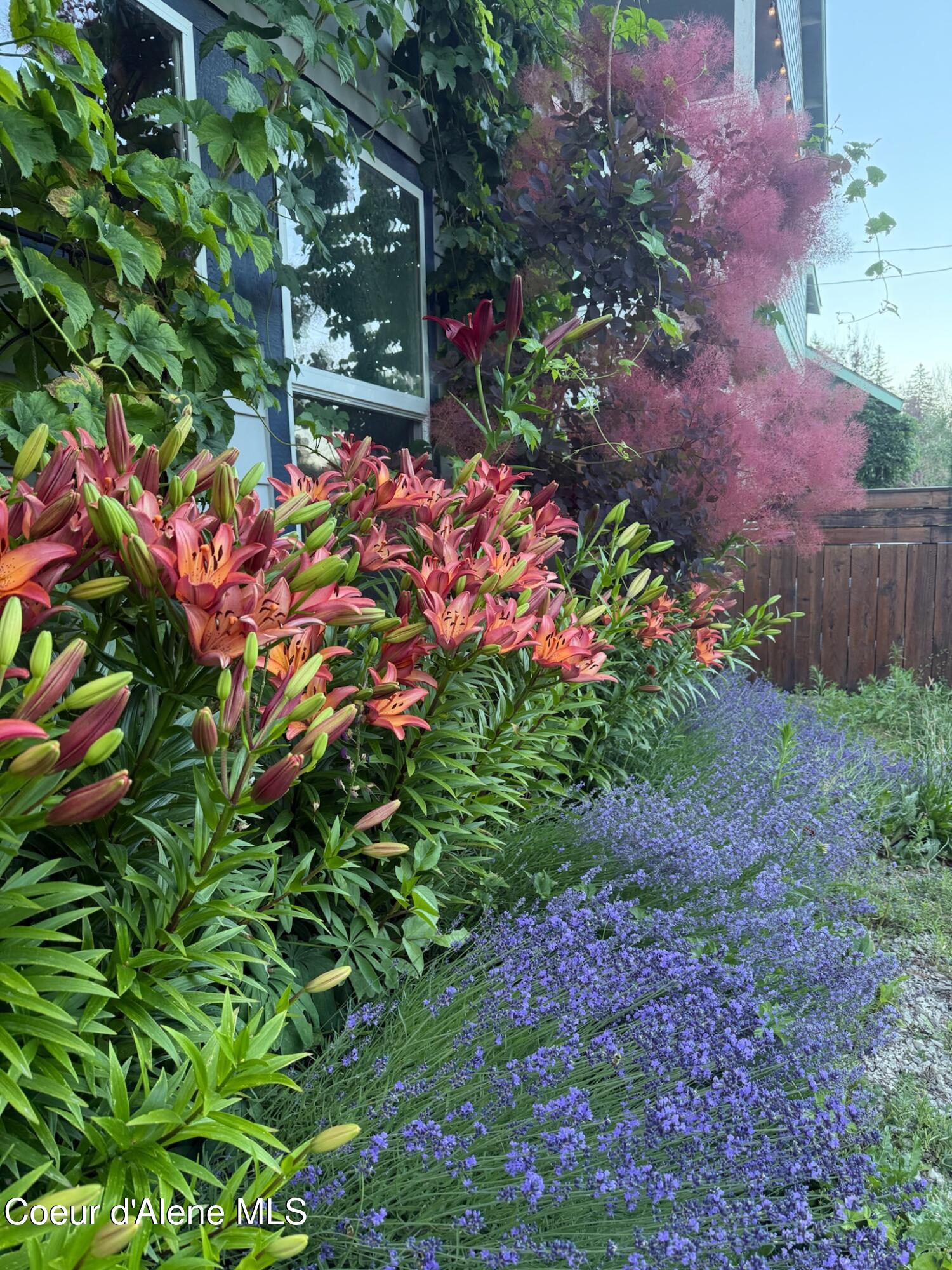 1210 Spruce Street Sandpoint, ID 83864 - Photo 38 of 50 IMG_4787