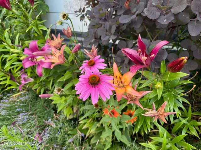 $459,000 | 1210 Spruce Street, Sandpoint, ID 83864