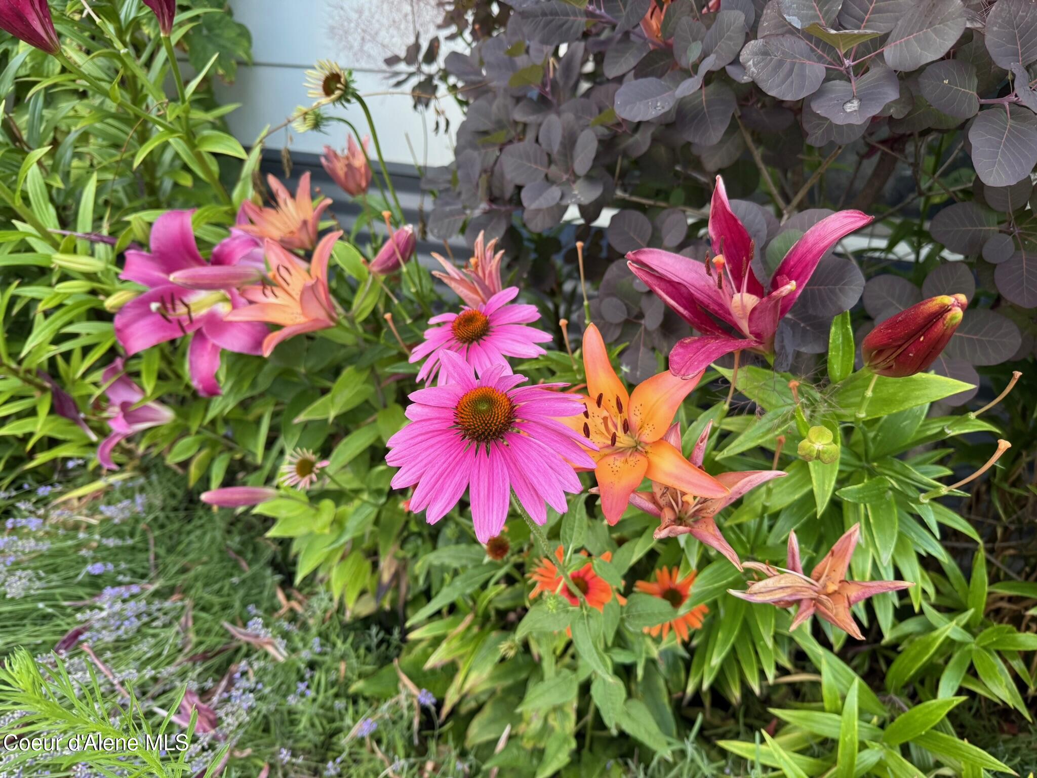 1210 Spruce Street Sandpoint, ID 83864 - Photo 39 of 50 IMG_4919