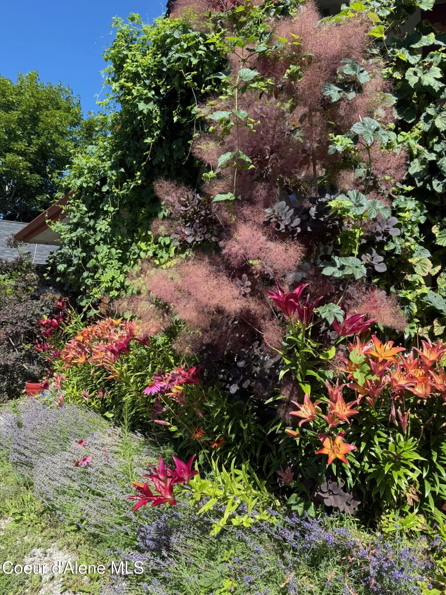 1210 Spruce Street Sandpoint, ID 83864 - Photo 40 of 50 IMG_4938