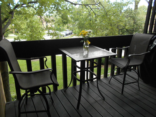 6160 Knoll Wood Road, Unit 206 Willowbrook, IL 60527 - Photo 16 of 17 a view of a chairs and table in patio