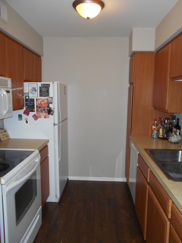 6160 Knoll Wood Road, Unit 206 Willowbrook, IL 60527 - Photo 5 of 17 a kitchen with a sink and a stove top oven
