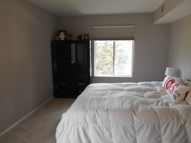 6160 Knoll Wood Road, Unit 206 Willowbrook, IL 60527 - Photo 8 of 17 a bedroom with a bed and a window