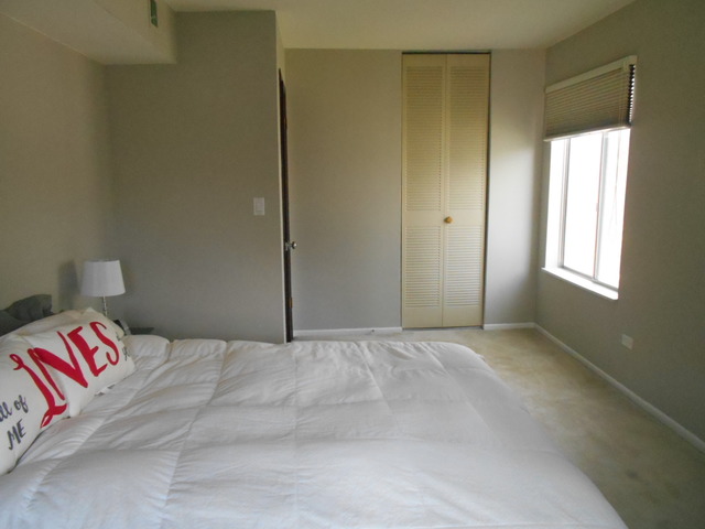 6160 Knoll Wood Road, Unit 206 Willowbrook, IL 60527 - Photo 9 of 17 a bedroom with a bed and a window