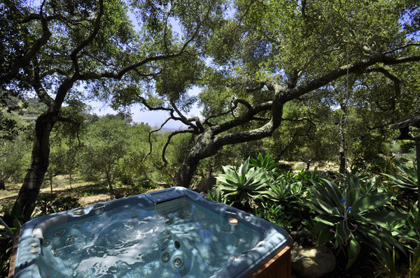 2280 Las Canoas Road Santa Barbara, CA 93105 - Photo 10 of 12 a view of a tree in a yard