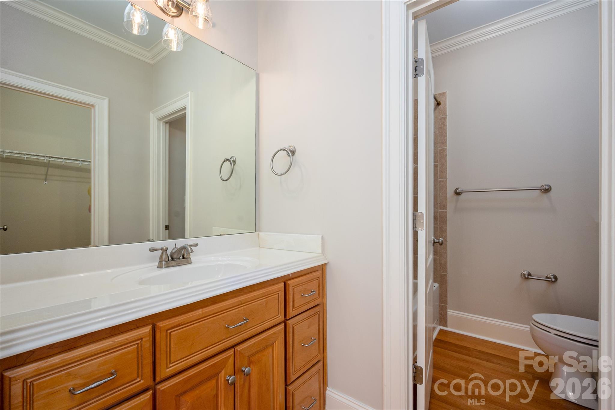 406 Belo Court Fort Mill, SC 29715 - Photo 35 of 46 a bathroom with a sink and a mirror