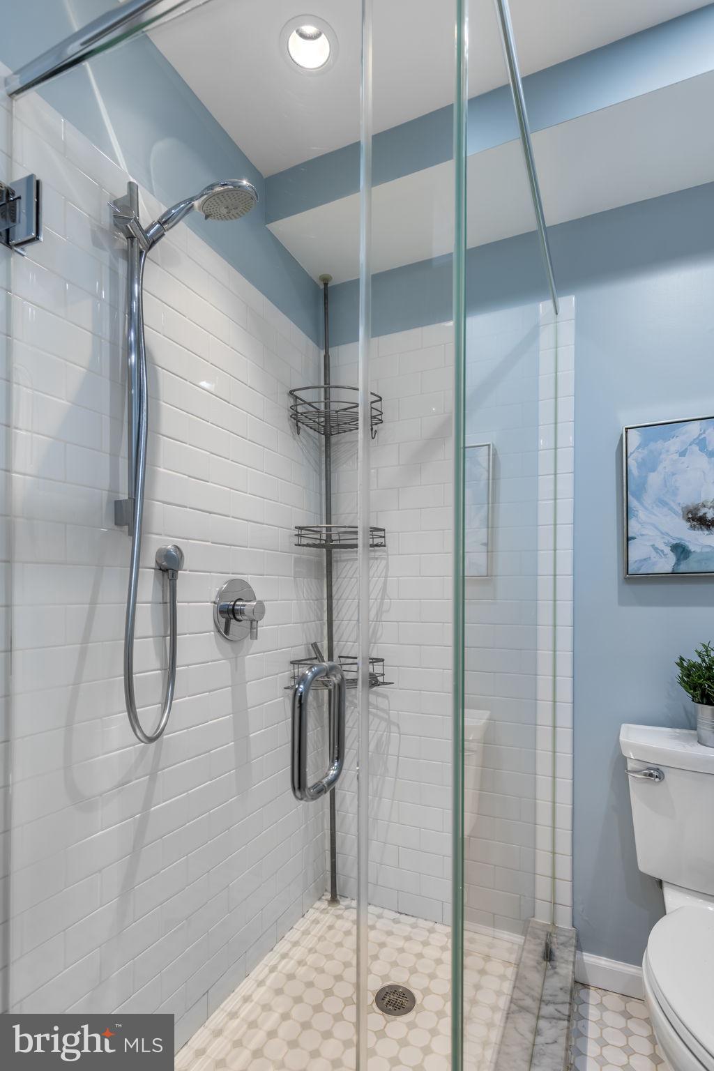 7105 Devonshire Road Alexandria, VA 22307 - Photo 46 of 54 Lower-level full bath