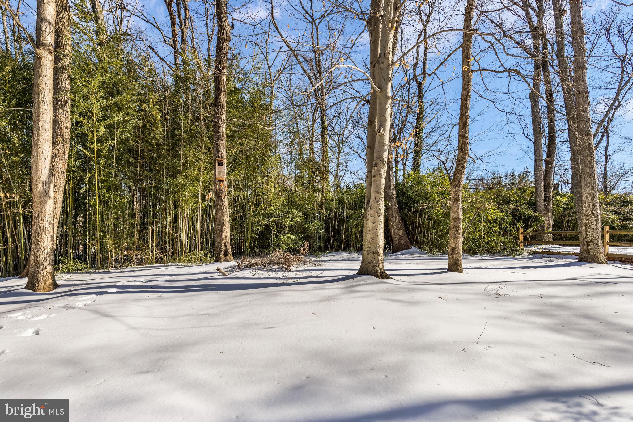 7105 Devonshire Road Alexandria, VA 22307 - Photo 49 of 54 Almost 1/2 private acre lot, with mature trees