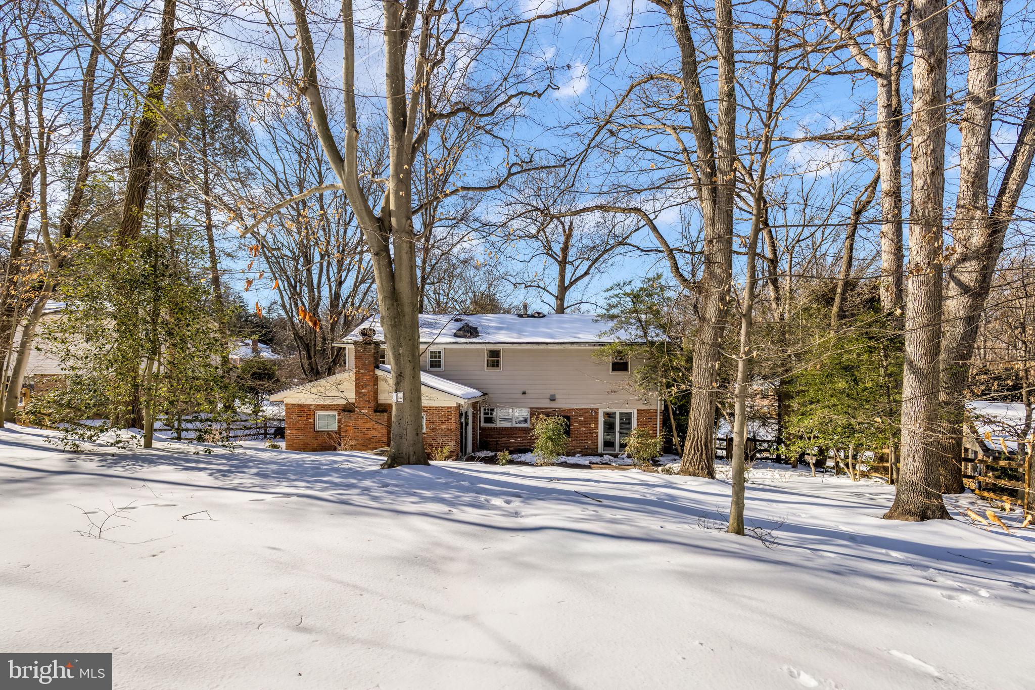 7105 Devonshire Road Alexandria, VA 22307 - Photo 8 of 54 Almost 1/2 private acre lot, with mature trees