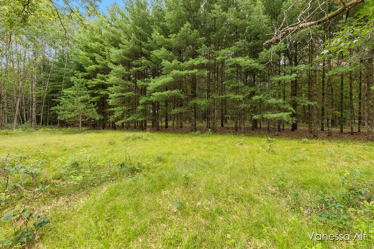 920 South Mathisen Road Manistee, MI 49660 - Photo 30 of 36 IMG_1028