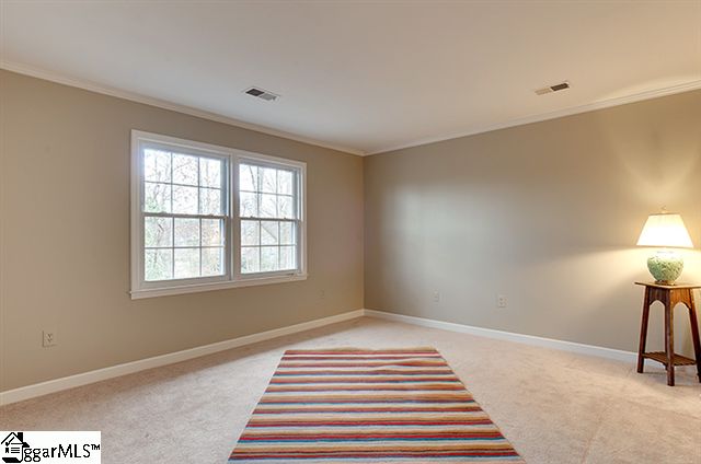 202 Stone Ridge Road Greer, SC 29650 - Photo 20 of 25 Gallery Image 20
