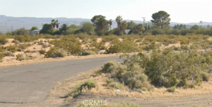 0 Telstar Court Yermo, CA 92398 - Photo 3 of 10 a view of a yard
