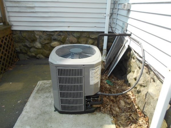 81 Alder Street Waltham, MA 02453 - Photo 38 of 38