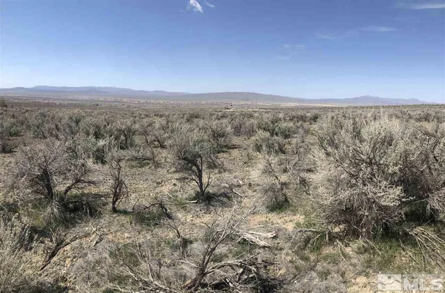 a view of a city with lush green forest