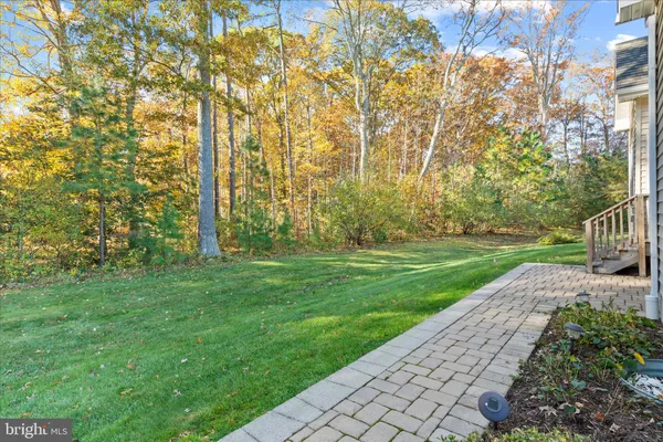 a view of yard with green space