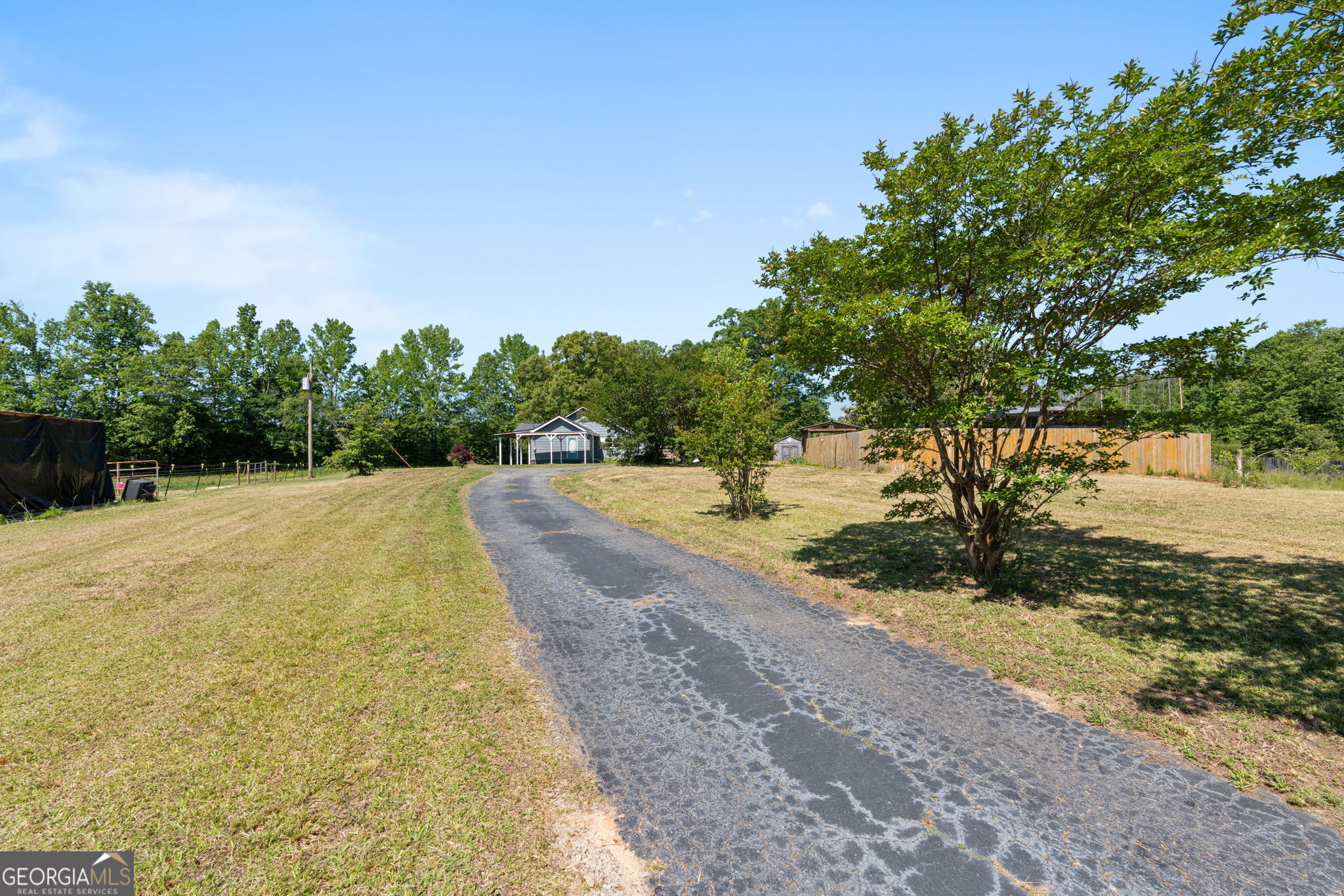 49 Frost Road Bowdon, GA 30108 - Photo 6 of 60 a view of a yard with trees