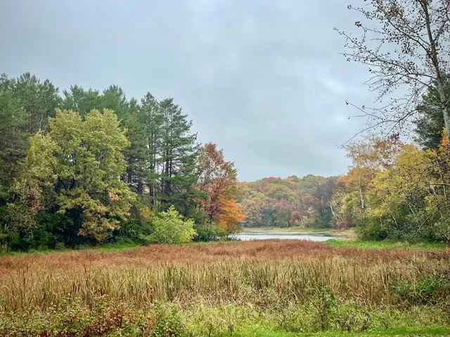 $550,000 | 14169 Homestead Avenue North, Hugo, MN 55038