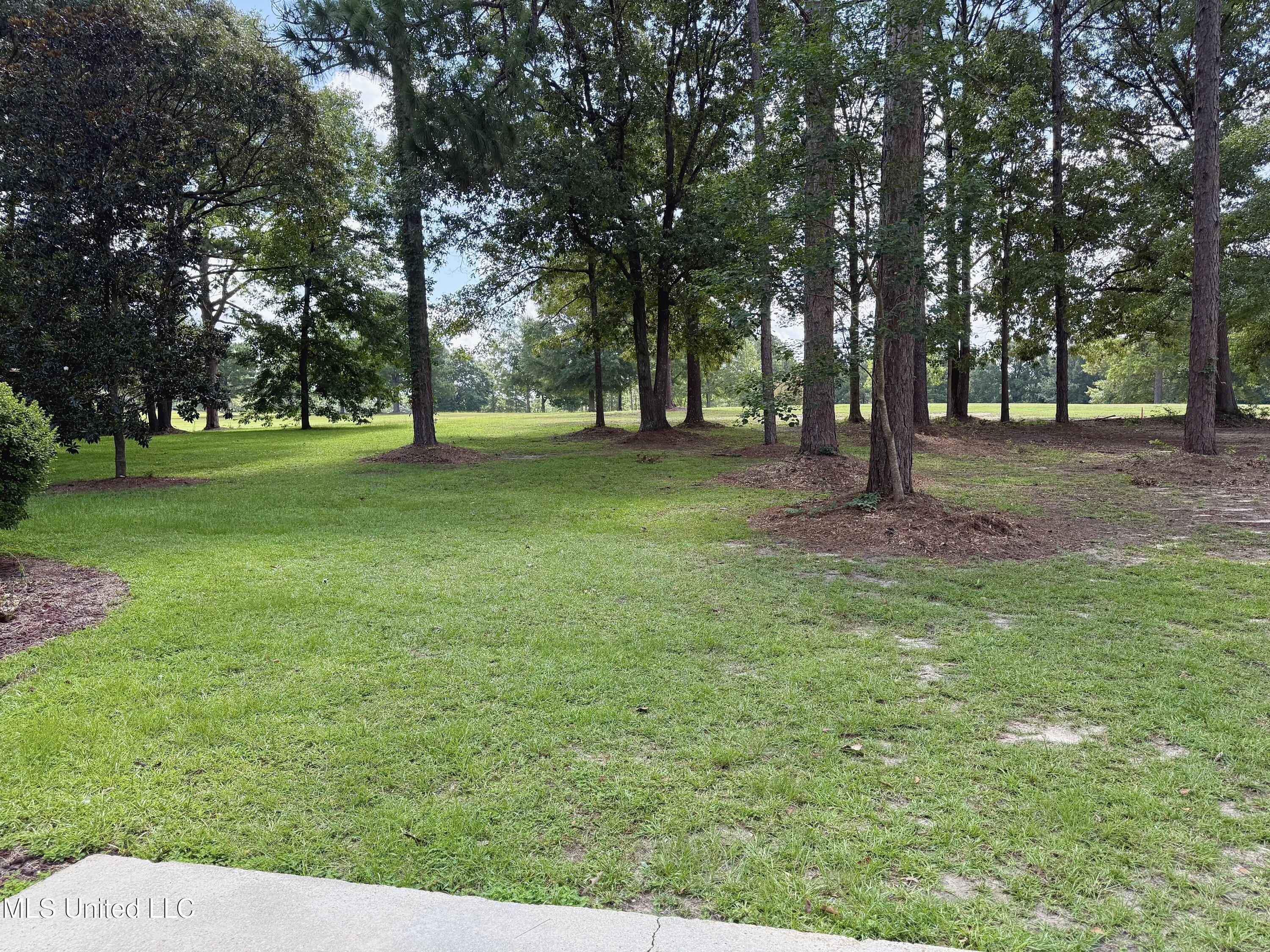222 Beaver Lake Road Purvis, MS 39475 - Photo 19 of 20 IMG_1450 (1)