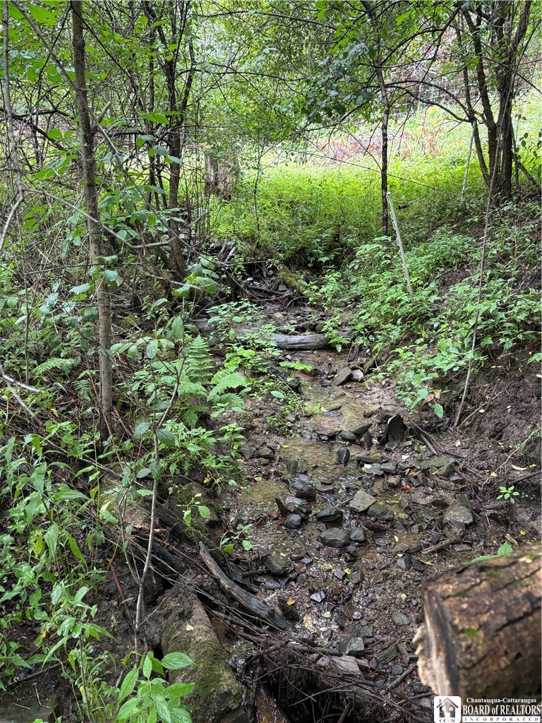 Gallery Image 6
